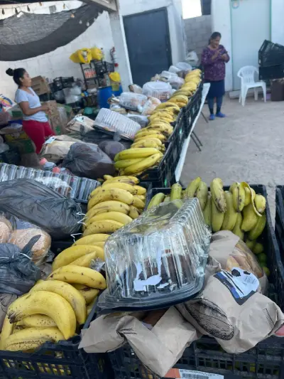 Entrega de Alimento