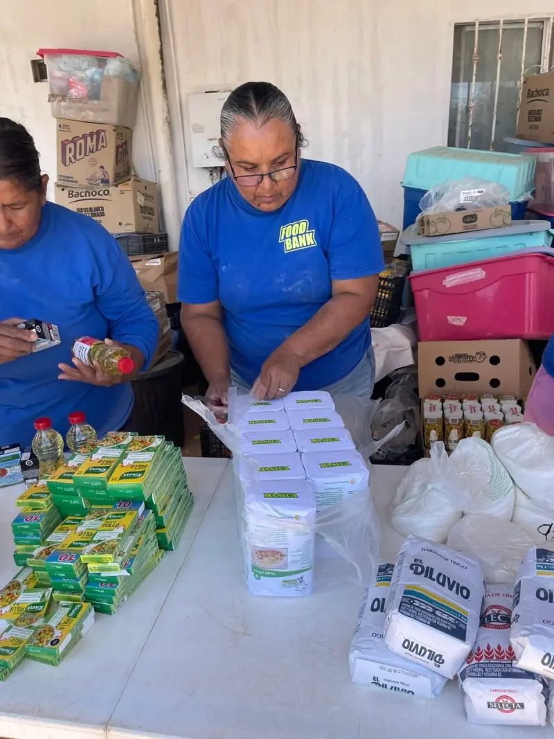 Voluntariado